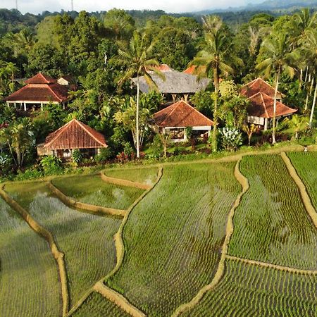 Sava Eco Retreat Hotel Padangan  Bagian luar foto