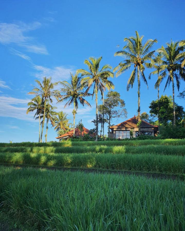 Sava Eco Retreat Hotel Padangan  Bagian luar foto