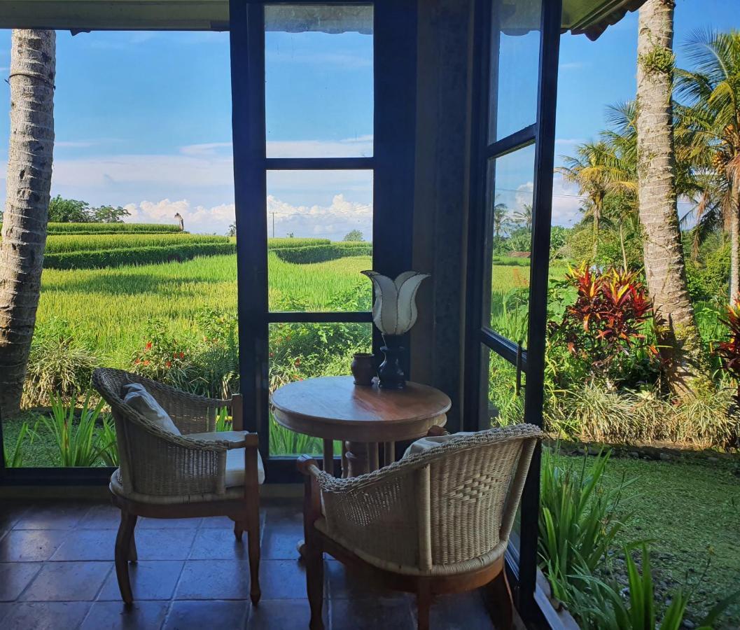 Sava Eco Retreat Hotel Padangan  Bagian luar foto