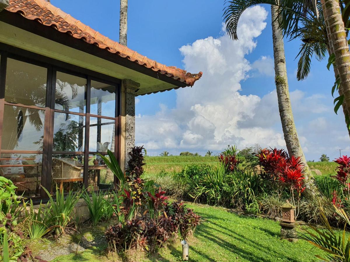 Sava Eco Retreat Hotel Padangan  Bagian luar foto