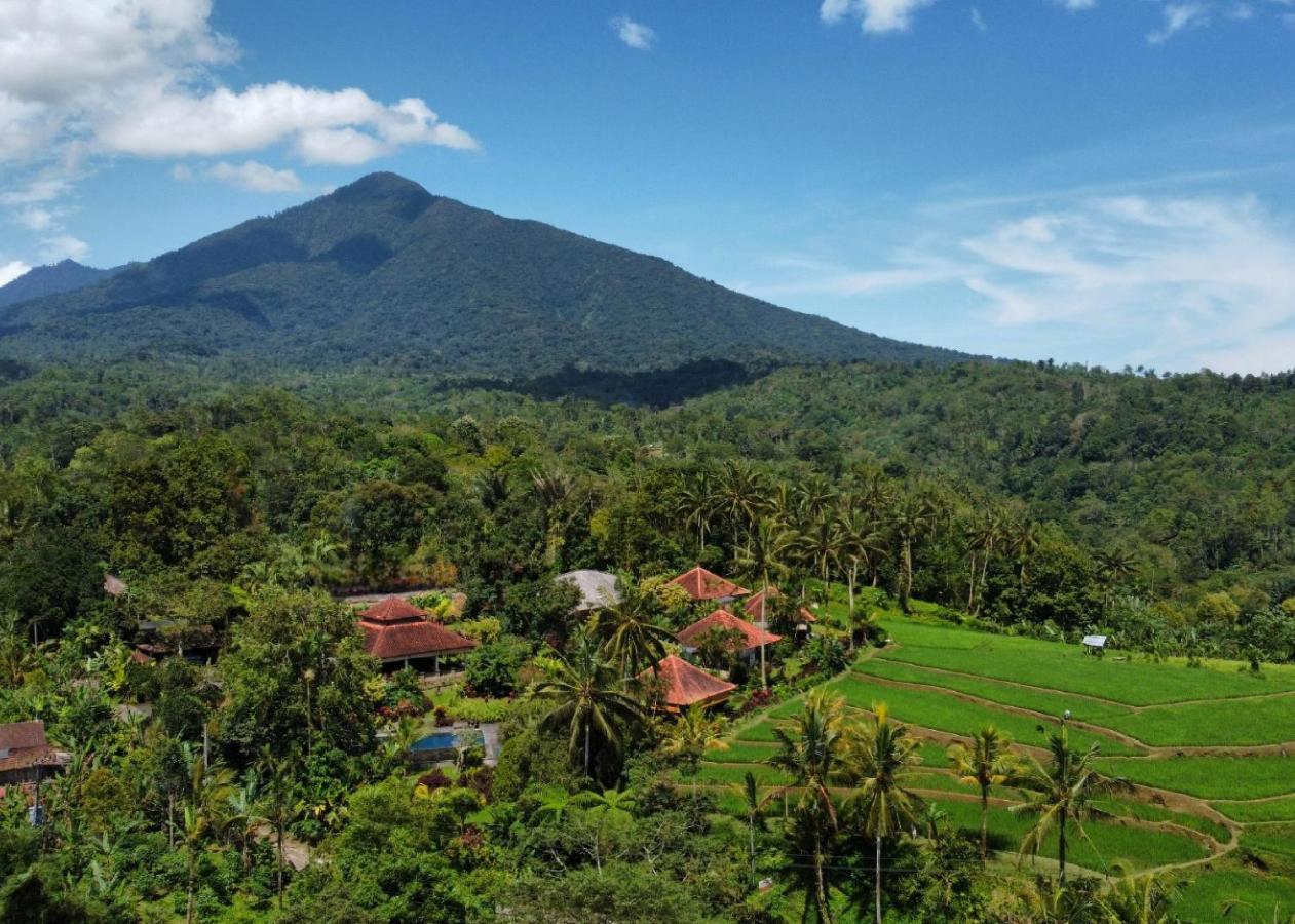 Sava Eco Retreat Hotel Padangan  Bagian luar foto