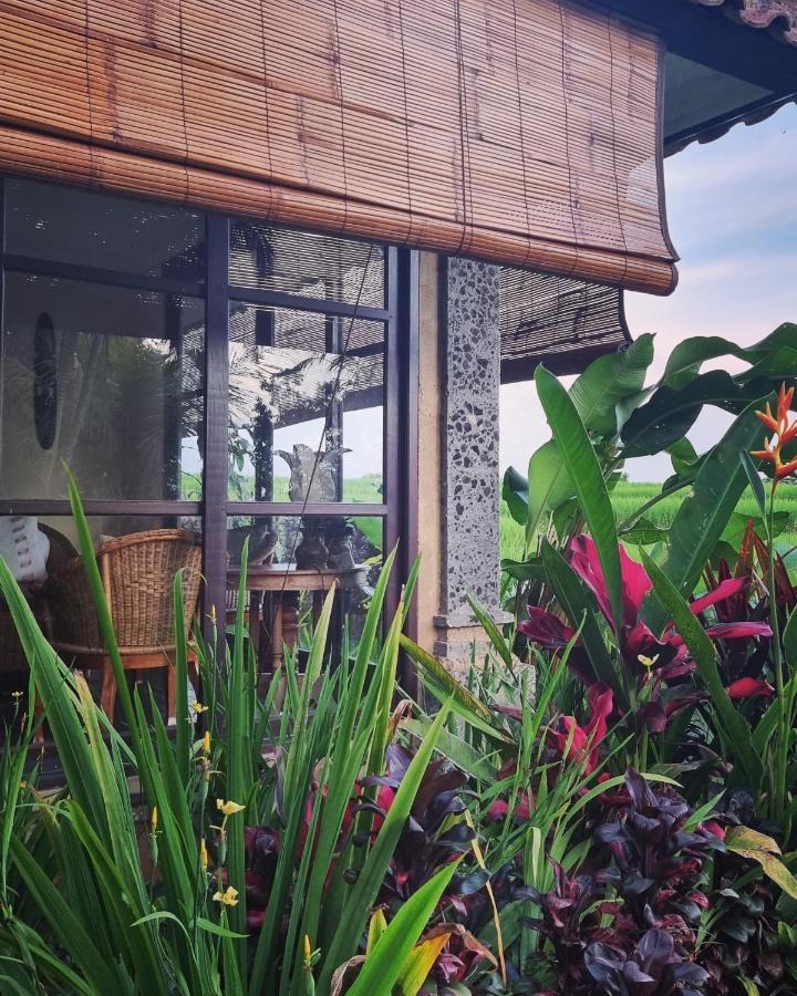 Sava Eco Retreat Hotel Padangan  Bagian luar foto