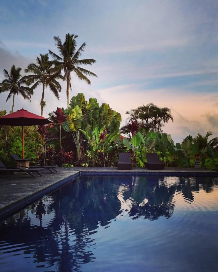 Sava Eco Retreat Hotel Padangan  Bagian luar foto