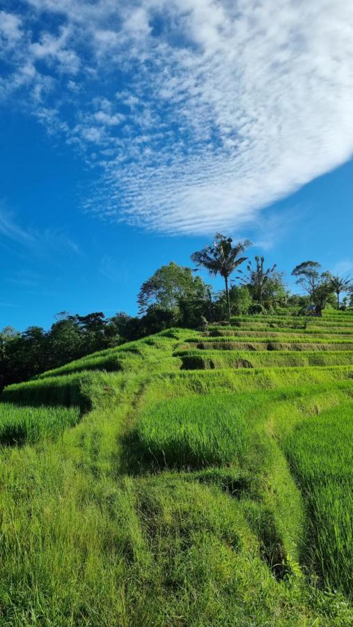 Sava Eco Retreat Hotel Padangan  Bagian luar foto