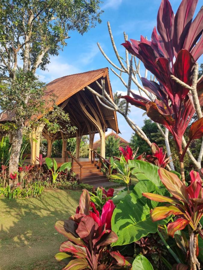 Sava Eco Retreat Hotel Padangan  Bagian luar foto