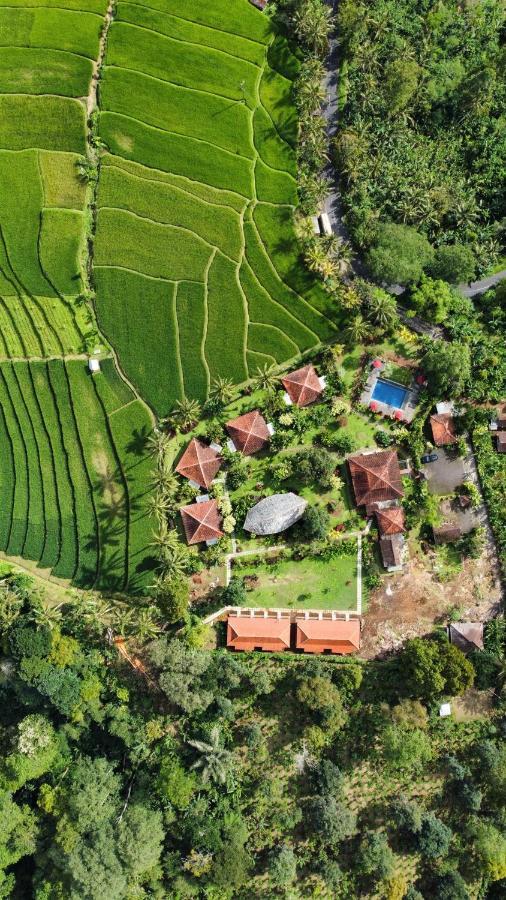Sava Eco Retreat Hotel Padangan  Bagian luar foto